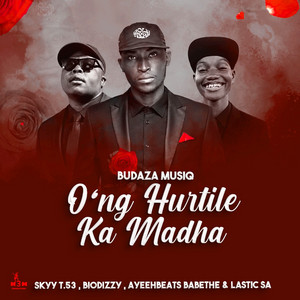 O'ng Hurtile Ka Madha by Budaza Musiq, Skyy T.53, Biodizzy, Ayeeh Beats Babethe, Lastic SA