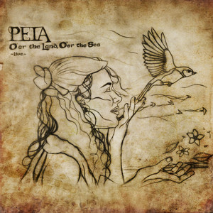 O'er the Land, O'er the Sea - Live by Peia, Biko Casini, David Brown, Rising Appalachia