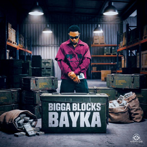 Bigga Blocks by Bayka