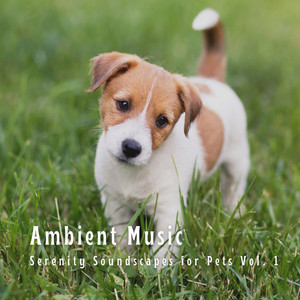 Ambient Music: Serenity Soundscapes for Pets Vol. 1 album
