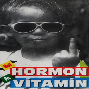 Vokal cover