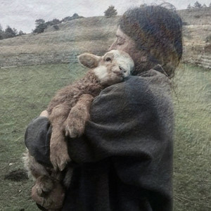 baby sheep by Luce Vertigo
