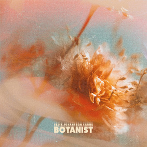 Botanist by Felix Johansson Carne