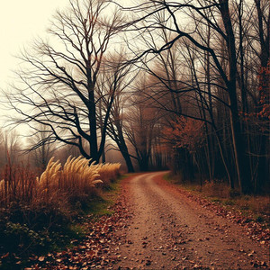 Tranquil Paths by Mystique Melody