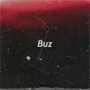 Buz