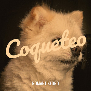 ROMANTIKEORD - Cucharon