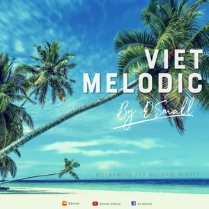 Một Đêm Say - DJ DSmall Remix