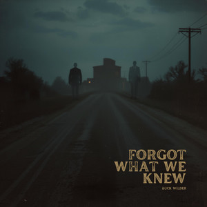 Forgot What We Knew by Buck Wilder