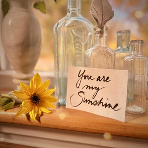 You Are My Sunshine