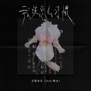 我该怎么习惯 - DJ九零版 by 王官冰玉, 九零