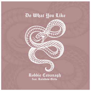 Do What You Like by Robbie Cavanagh, Rainbow Girls