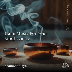 Calm Music for Your Mind 528 Hz by Pranav Aditya, Vedam