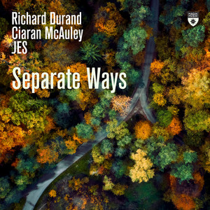 Separate Ways - Extended Mix by Richard Durand, Ciaran McAuley, JES