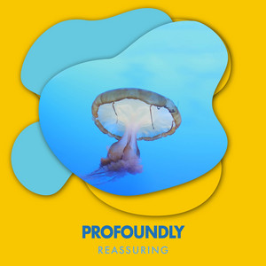 zZz Profoundly Reassuring Ocean Ambiance zZz album