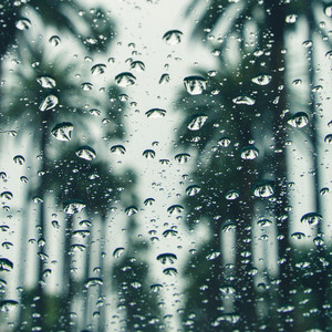 55 Sleepy Thunderstorm Collection album