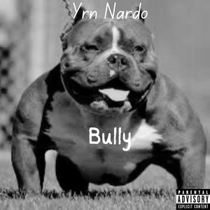 Bully