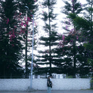 Mawimawia - A tawk reng si