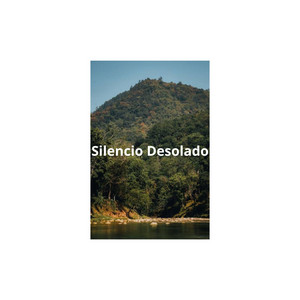 Silencio Desolado by Rose of melody