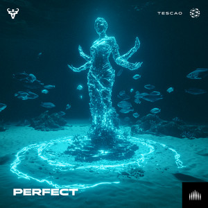 Perfect by Tescao