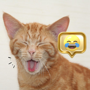 Rodriggo Júnior - Pisadinha Engraçada, Piseiro Memes (Rodriggo Júnior Remix)