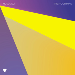 Trig Your Mind by Musumeci