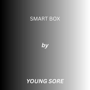 smart box by Young Sore