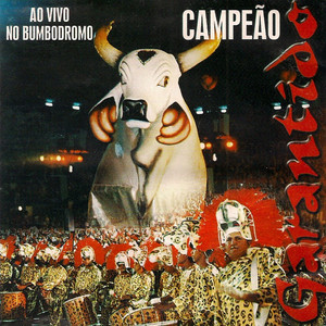 BOI BUMBÁ GARANTIDO - Sinhazinha da Fazenda (Ao Vivo)