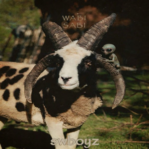 WaBiSaBi by sWboyz