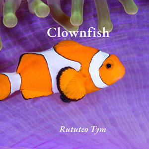 Clownfish by Rututeo Tym