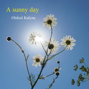 A sunny day