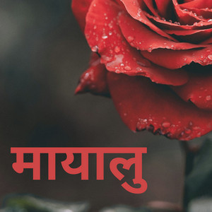 Basanta raj giri - MAYALU