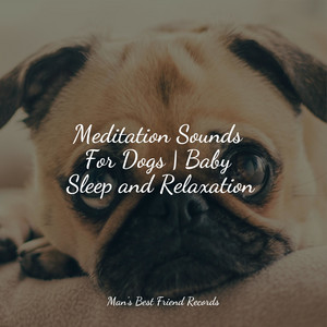 Meditation Sounds For Dogs | Baby Sleep and Relaxation album