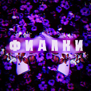 Фиалки
