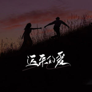 迟来的爱 (新版)