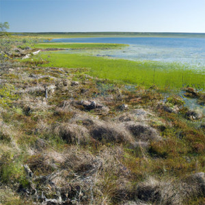 Nomonde - We! We! (Mom's Remix)