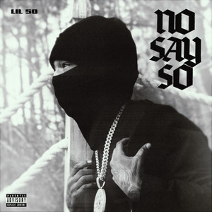 No Say So