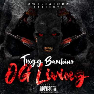 PT by Trigg Bambino
