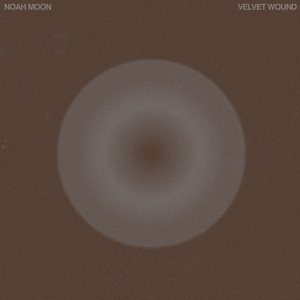 Velvet Wound by Noah Moon