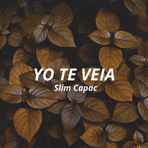 Yo Te Veia by Slim Capac