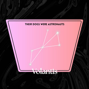 Volantis by Their Dogs Were Astronauts