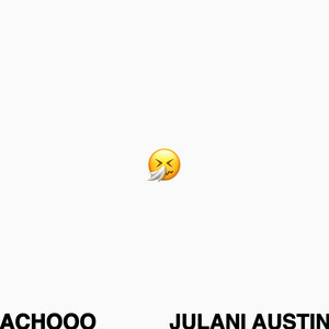 Achooo