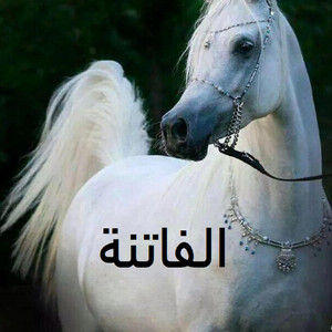 بندر الذرفي - الفاتنة