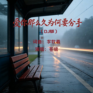 爱你那么久为何要分手（DJ版） by 苍狼