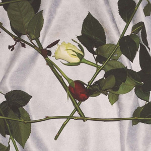 Follow by Chain of Flowers