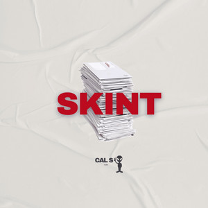 Portada de Skint