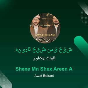 ئاوات بوکانی - شێخێ من شێخ ئارینە