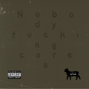 Nobody Fucking Cares by Lost lambs
