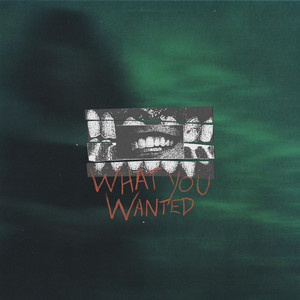 What You Wanted by Cody Cavanaugh
