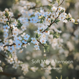 Soft May Afternoon by Jade Ashtangini