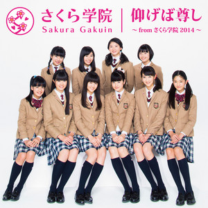 SAKURA GAKUIN 2017 【超入手困難品】パンフレット さくら学院